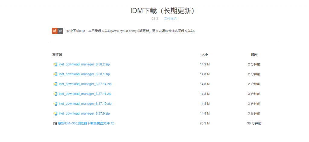 Internet Download Manager v6.38.16 最新IDM下载器绿色中文破解版下载