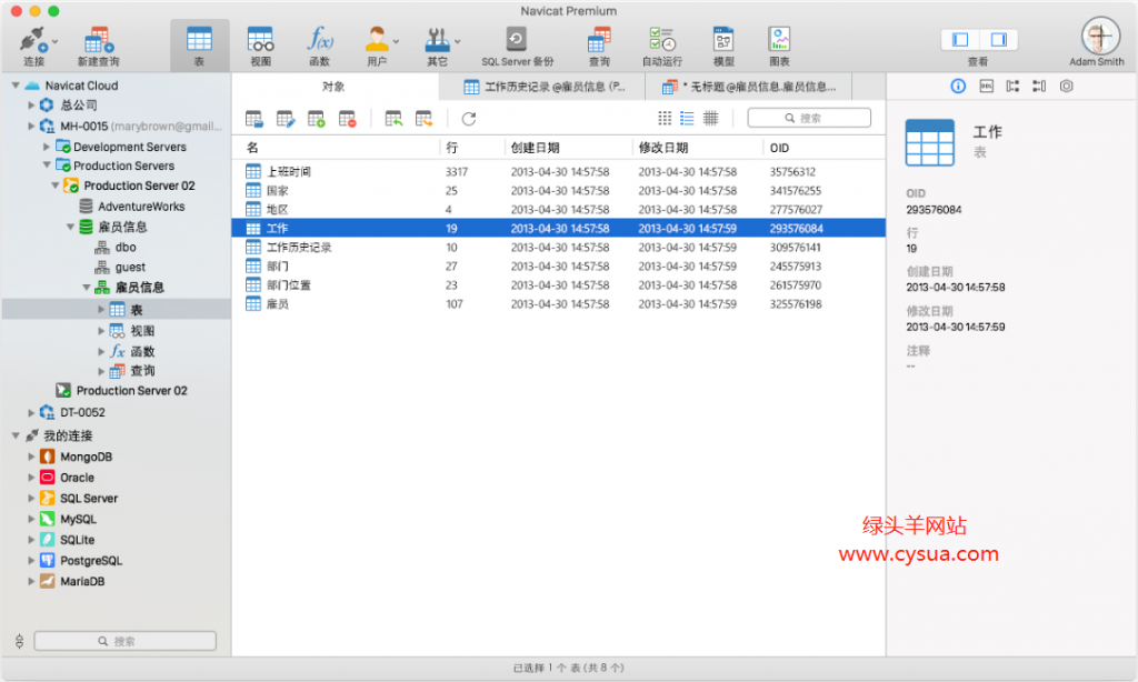 Navicat Premium for Mac v15.0.24 苹果MAC版数据库开发工具专业开发人员必备数据库软件