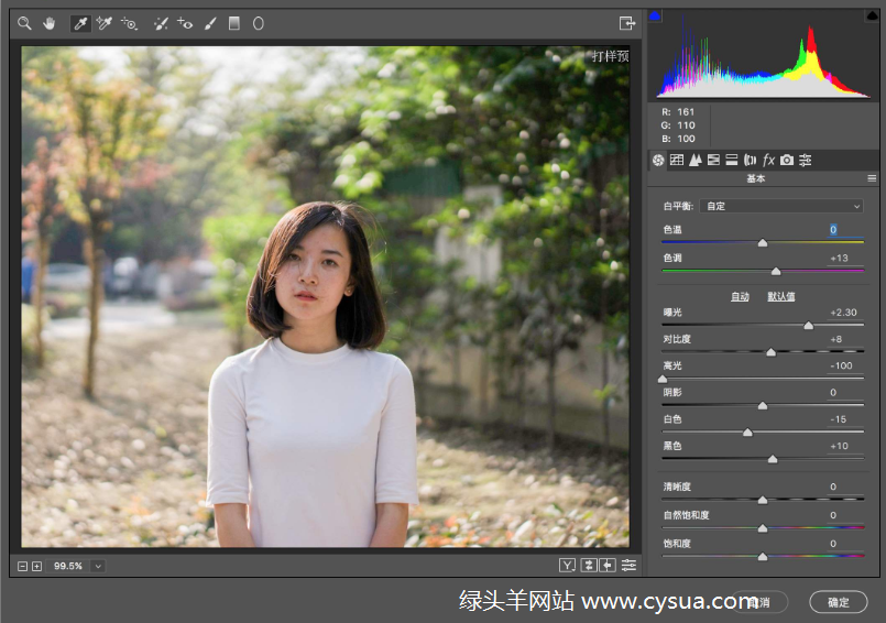 Adobe Camera Raw v13.0.0.610 强大Photoshop滤镜摄影师必备增效工具