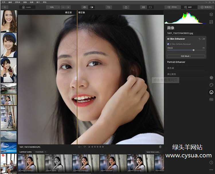 Luminar v4.3.0.7119 智能AI图片编辑P图软件中文绿色版